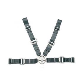 Gadringer seatbelts