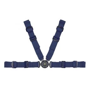 Schroth 4-point seatbelts